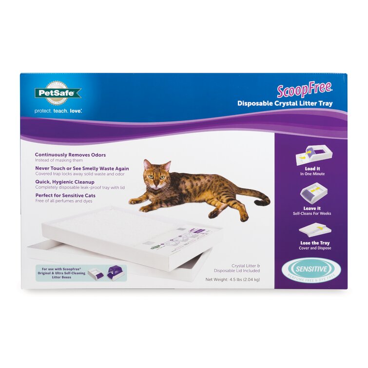 Scoopfree litter hot sale box tray